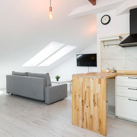 Apartment Alexander クラクフ エクステリア 写真