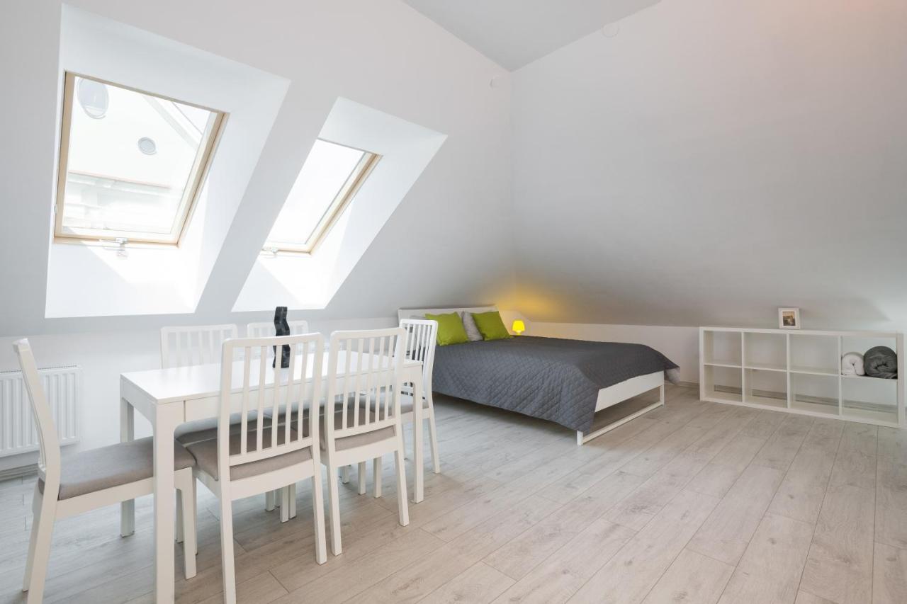 Apartment Alexander クラクフ エクステリア 写真